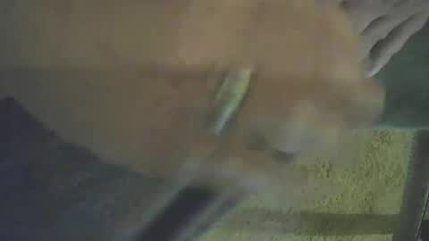 Snapshot of musicman2021 chatting on October 2025 03:40:02 PM musicman2021 online show from October 2025 03:40:02 PM