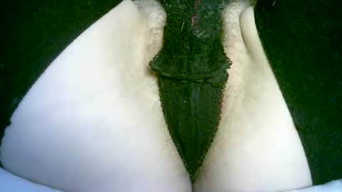 my_tightholes online show from July 2026 04:09:02 PM