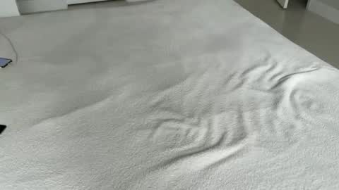 Snapshot of myles_isperfect chatting on November 2025 06:33:02 PM Myles Spears online show from November 2025 06:33:02 PM