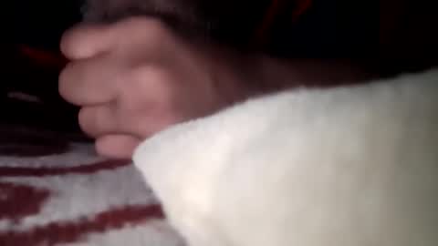 Snapshot of mysolo198777 chatting on January 2026 07:37:02 PM Mysolo1987 online show from January 2026 07:37:02 PM