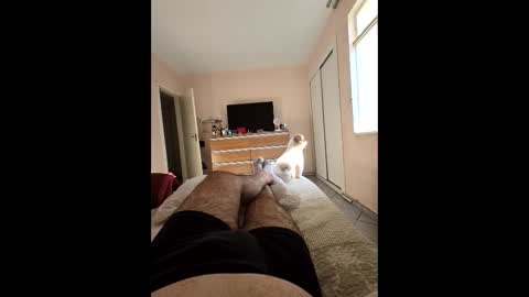 mysterbearmg online show from September 2025 06:46:02 PM