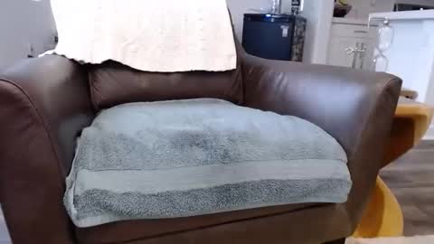 Lynn online show from November 2025 03:55:02 PM