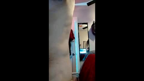 Snapshot of nachito650 chatting on December 2025 12:50:02 AM cheesechip online show from December 2025 12:50:02 AM