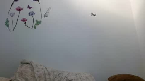 Snapshot of nahomy_gree chatting on February 2026 06:40:02 AM nahomy_gree online show from February 2026 06:40:02 AM