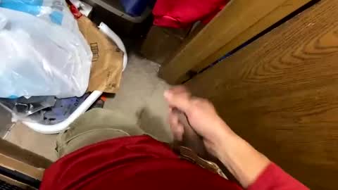 Snapshot of nairda2senoniuq chatting on December 2024 04:09:02 AM nairda2senoniuq online show from December 2024 04:09:02 AM