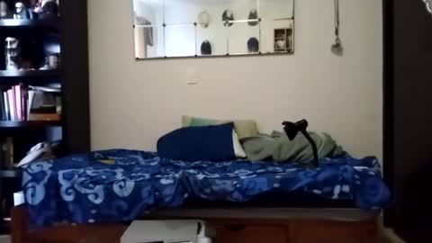 Snapshot of nak3d_lif3 chatting on January 2025 11:55:02 PM nak3d_lif3 online show from January 2025 11:55:02 PM