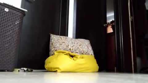 nak3d_lif3 online show from March 2026 01:37:01 PM