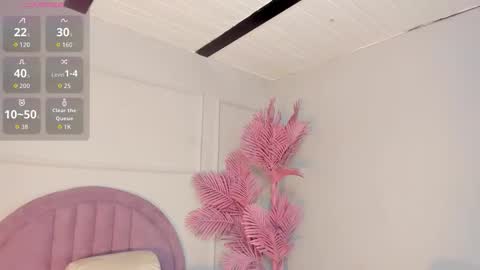 nalapalmer online show from March 2026 07:51:01 PM