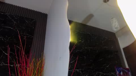 Snapshot of nalaroy chatting on January 2025 12:40:01 PM NALAROY online show from January 2025 12:40:01 PM