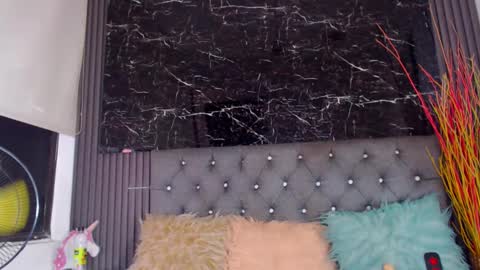 Snapshot of nalaroy chatting on February 2025 07:27:02 PM NALAROY online show from February 2025 07:27:02 PM