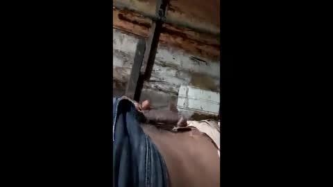 nalmudaststir online show from April 2026 05:41:02 PM