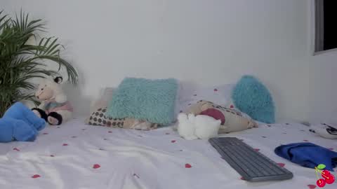 N A M I    -   OF  namibergmant online show from December 2024 03:15:02 AM