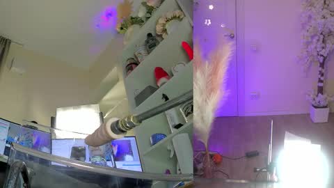 INSTAGRAM     bekkercat  online show from February 2026 09:03:02 AM