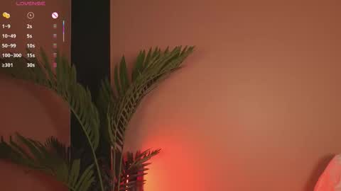 Snapshot of nanis_dash chatting on December 2025 07:32:01 PM nanis_dash online show from December 2025 07:32:01 PM