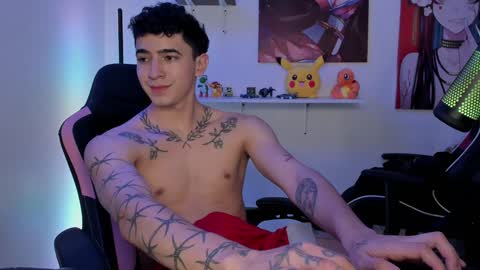 Snapshot of naranjo_seb chatting on December 2024 01:19:02 PM sebastian online show from December 2024 01:19:02 PM