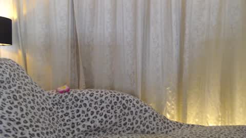 nareex online show from March 2025 07:45:01 AM