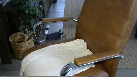 nareth338 online show from October 2025 03:53:01 PM