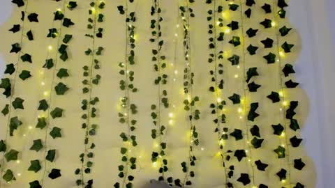 Maira online show from February 2025 02:29:02 AM