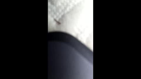 nastysubs69 online show from January 2025 04:21:01 AM