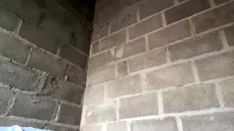 Snapshot of natasha__magics chatting on February 2026 05:11:02 PM natasha__magics online show from February 2026 05:11:02 PM