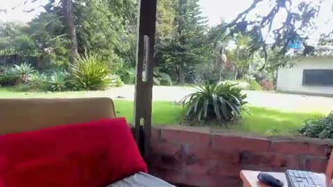 NatashaDiamond online show from June 2026 01:42:02 PM