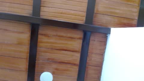 nath_dawson online show from November 2025 07:21:01 PM