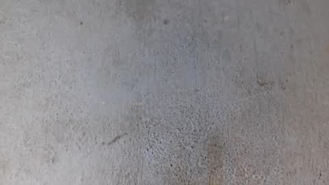 Nathy online show from February 2025 04:53:01 AM