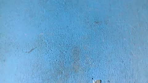 Nathy online show from March 2025 03:41:01 PM