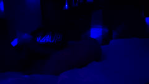 Haven online show from January 2026 09:22:01 AM