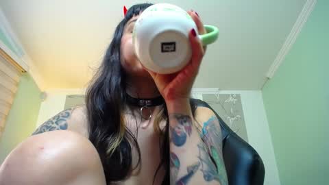 Kitten online show from January 2025 02:30:02 PM