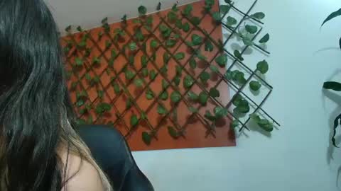 Kitten online show from April 2026 11:28:01 AM