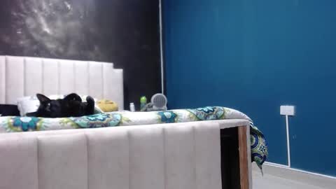 Kimberly online show from May 2026 11:40:01 AM