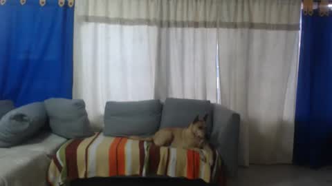 Snapshot of naugthymilf23 chatting on February 2026 10:19:02 PM keyra online show from February 2026 10:19:02 PM