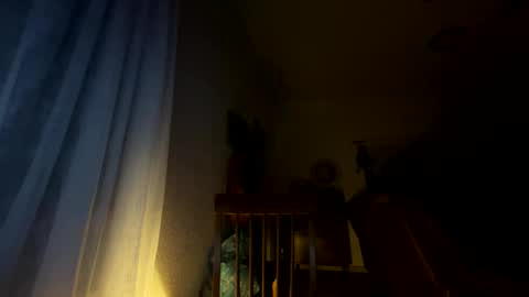 Snapshot of nboss55 chatting on October 2025 05:16:02 AM nboss55 online show from October 2025 05:16:02 AM