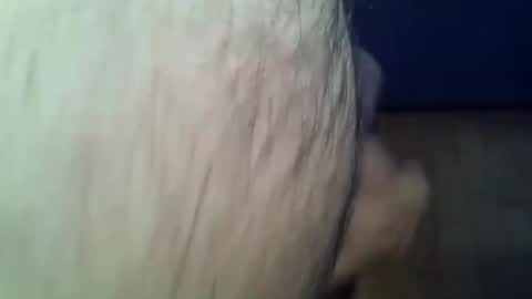 ncbncb online show from February 2026 01:20:01 PM