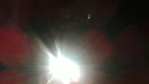 negritooscuro online show from January 2026 03:31:02 AM
