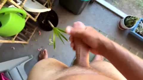 Snapshot of nellyd332169 chatting on January 2026 07:16:01 PM nellyd332169 online show from January 2026 07:16:01 PM