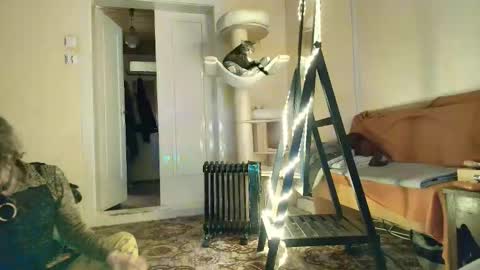 Snapshot of nessieanalemma chatting on February 2026 12:43:02 PM nessieanalemma online show from February 2026 12:43:02 PM