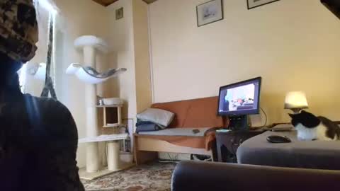 Snapshot of nessieanalemma chatting on February 2026 08:34:02 AM nessieanalemma online show from February 2026 08:34:02 AM