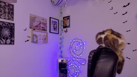 Mar online show from February 2026 05:38:01 AM