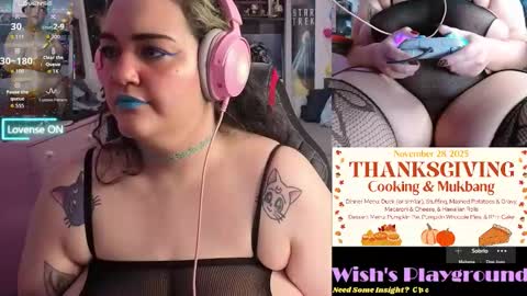 Snapshot of nevermakeawish chatting on November 2025 06:58:02 AM Wishs Playground online show from November 2025 06:58:02 AM