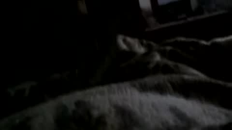 Matt online show from December 2024 07:42:01 AM