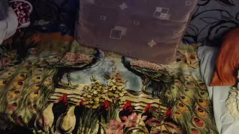 Lilly  online show from April 2026 02:58:01 AM