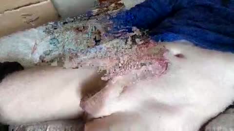 nice_dicknballs online show from May 2026 10:09:01 AM