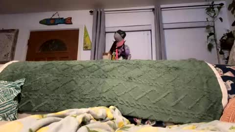 niced4fun online show from July 2026 07:06:02 AM