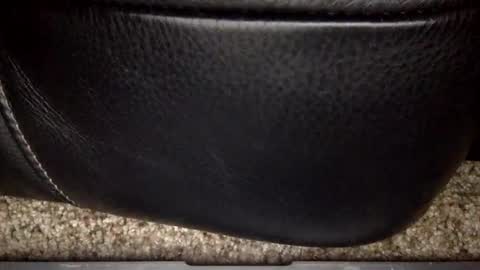 nick12989 online show from December 2025 06:19:01 AM