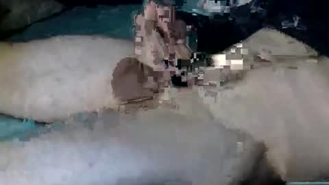 Snapshot of nickanonymous1034 chatting on October 2025 11:20:02 AM Nick online show from October 2025 11:20:02 AM