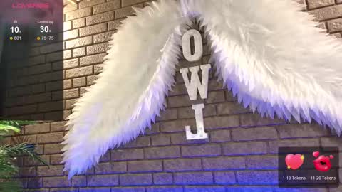 Snapshot of nicky_owl chatting on November 2025 08:48:02 AM Today is my 41st birthday And in 2 hours Im waiting for you on the stream Stock up on tokens and a good mood Nicky online show from November 2025 08:48:02 AM