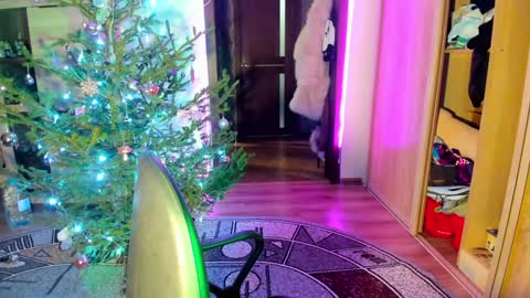 Snapshot of nicky_weekends chatting on January 2025 12:00:01 AM Nicky Weekends online show from January 2025 12:00:01 AM