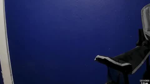 NicoG online show from December 2025 11:25:02 AM